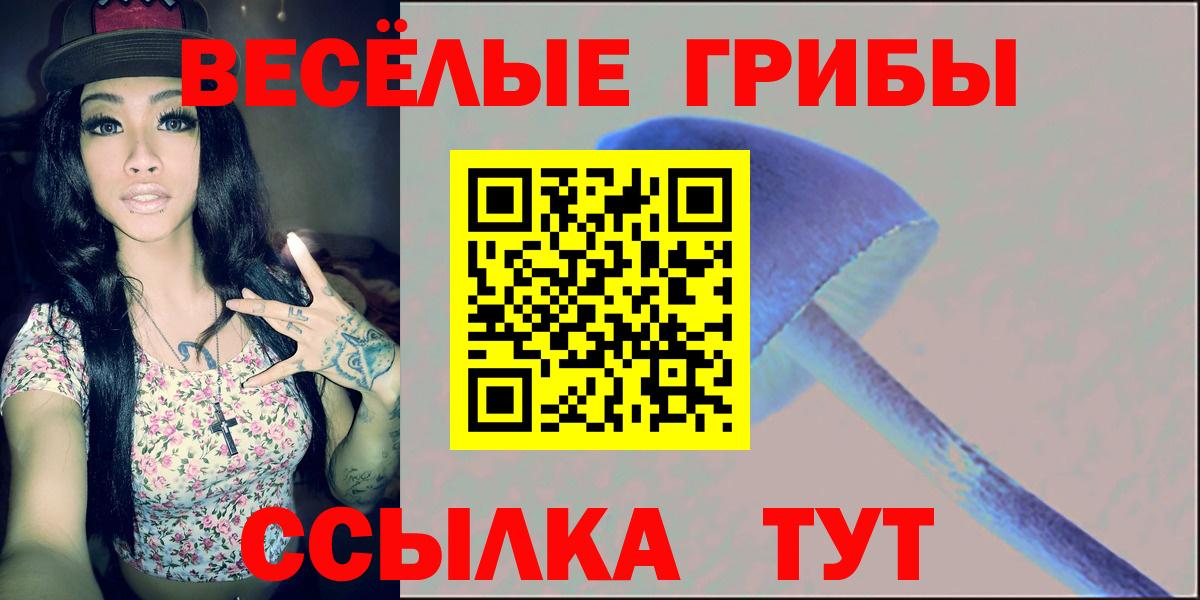 Галлюциногенные грибы MAGIC MUSHROOMS Канаш